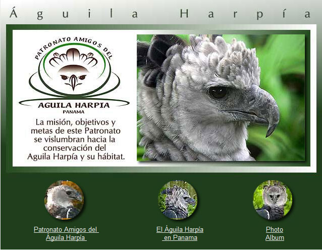 Dedicado a la conservaci�n del Aguila Harpia y su h�bitat.