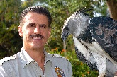 Picture Panama Aguila Harpia